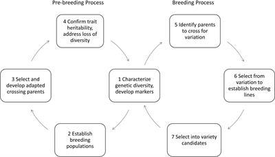 From genes to policy: mission-oriented governance of plant-breeding research and technologies